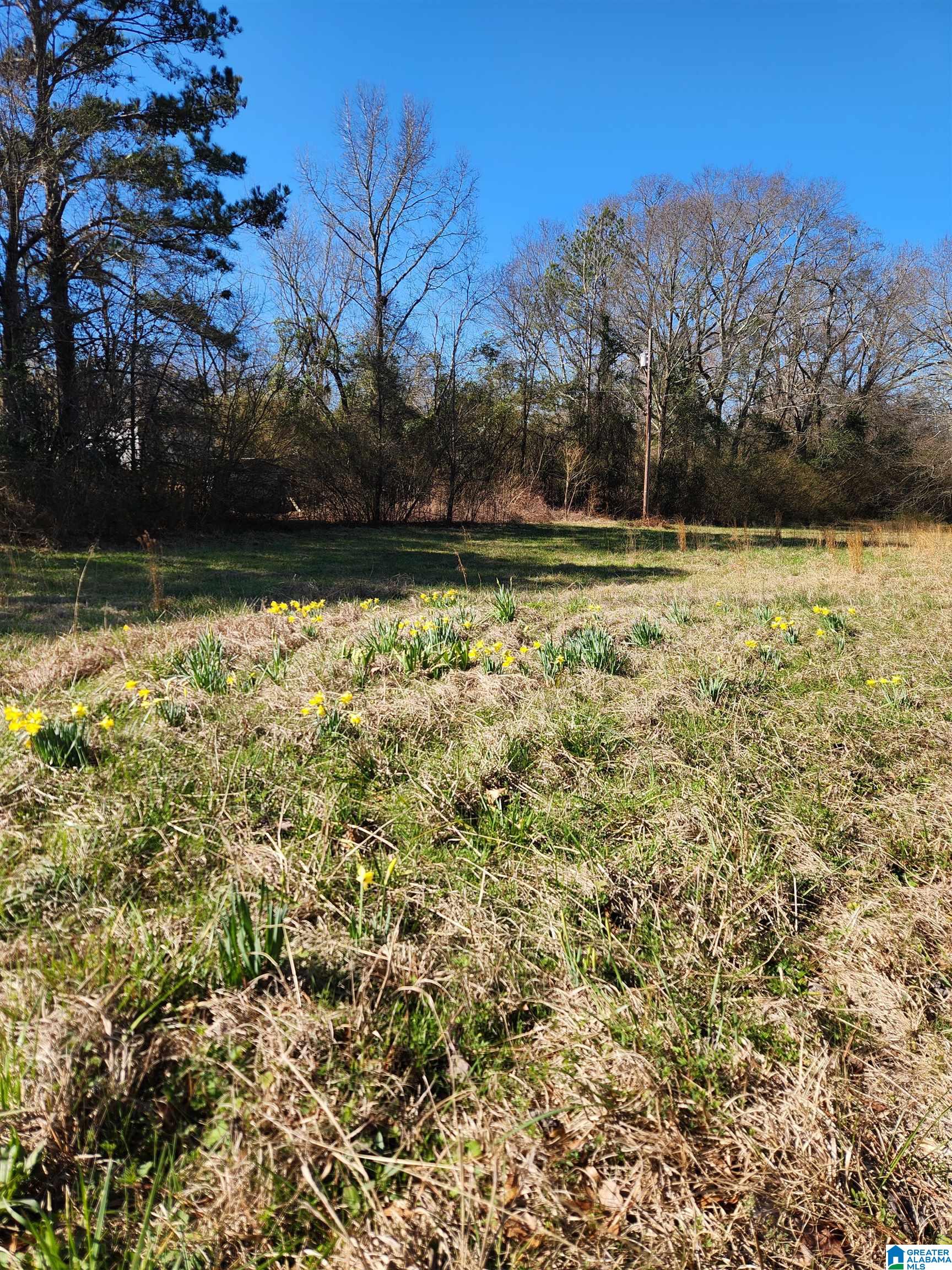 29 Self Road, Unit 1 Anniston, AL 36201 - Photo 8 of 12