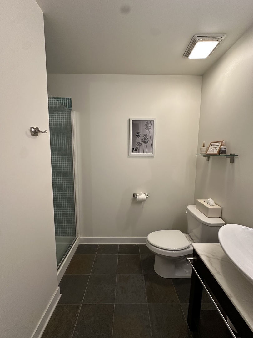 660 West Wayman Street, Unit 507 Chicago, IL 60661 - Photo 7 of 53