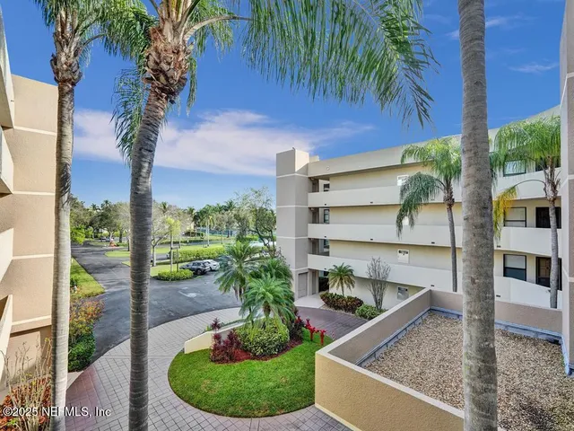 a view of a backyard with plants and palm tree