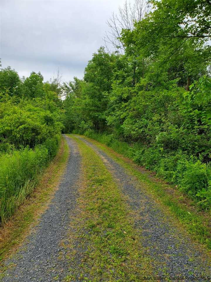144 Burnt Meadows Road Gardiner, NY 12525 - Photo 2 of 31 a view of a yard with a tree