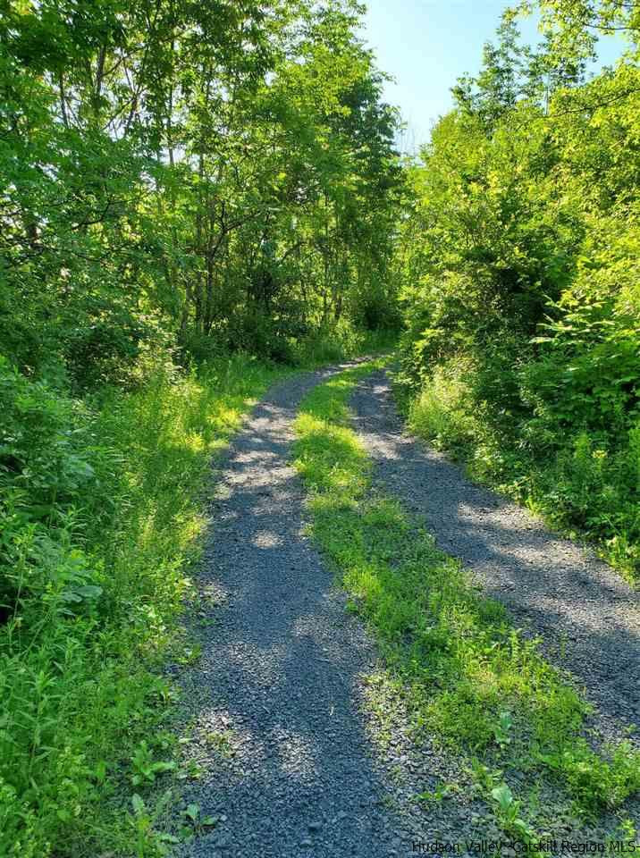 144 Burnt Meadows Road Gardiner, NY 12525 - Photo 28 of 31 a view of a yard with plants and large trees