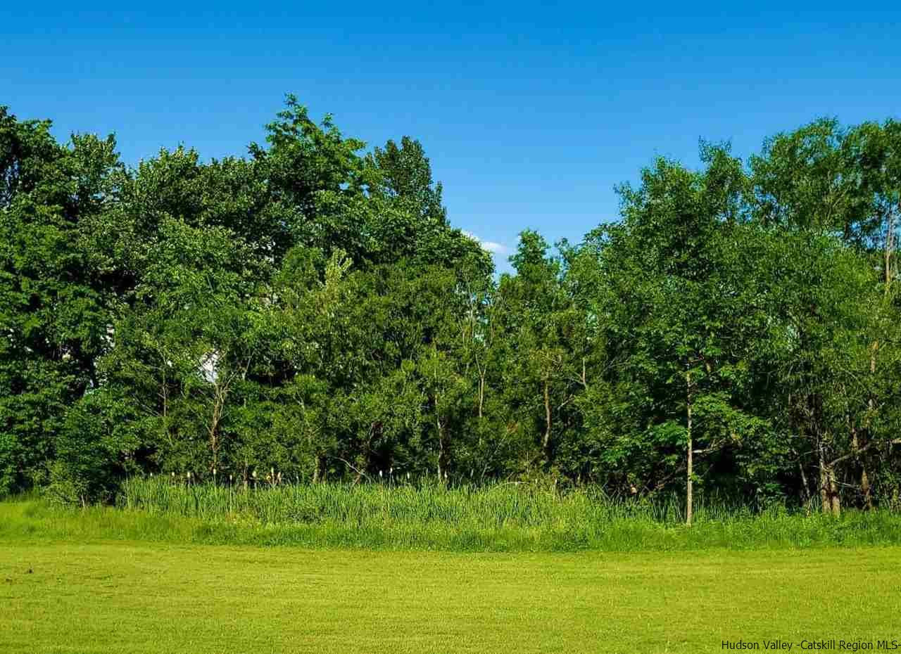 144 Burnt Meadows Road Gardiner, NY 12525 - Photo 6 of 31 a view of a garden