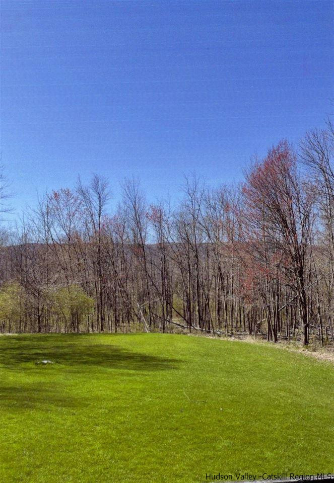 144 Burnt Meadows Road Gardiner, NY 12525 - Photo 8 of 31 a view of a grassy field with trees