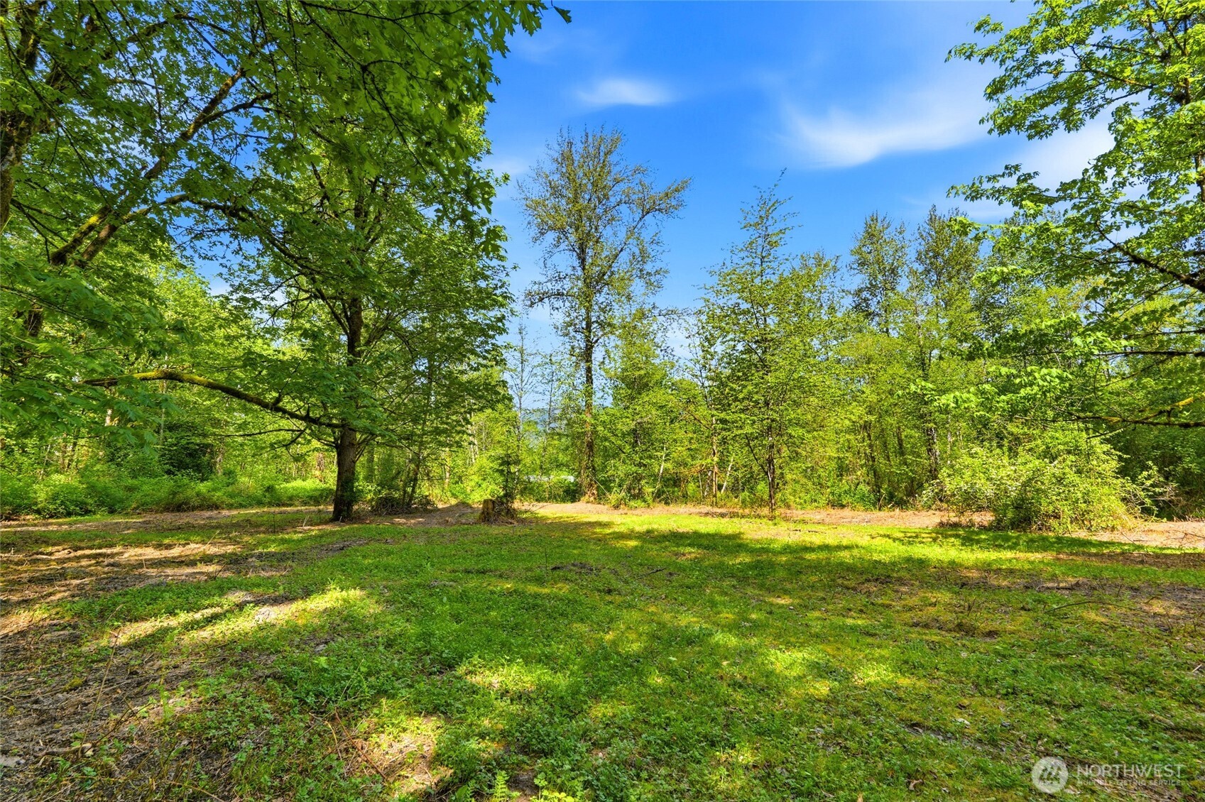 21716 State Rte 530 Northeast Arlington, WA 98223 - Photo 33 of 38 a view of a grassy field with trees