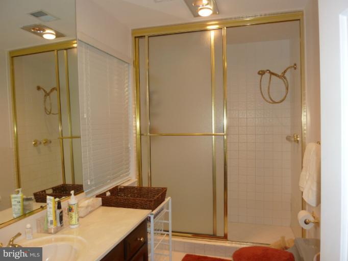 12917 Esworthy Road North Potomac, MD 20878 - Photo 14 of 15 Bath (Master)