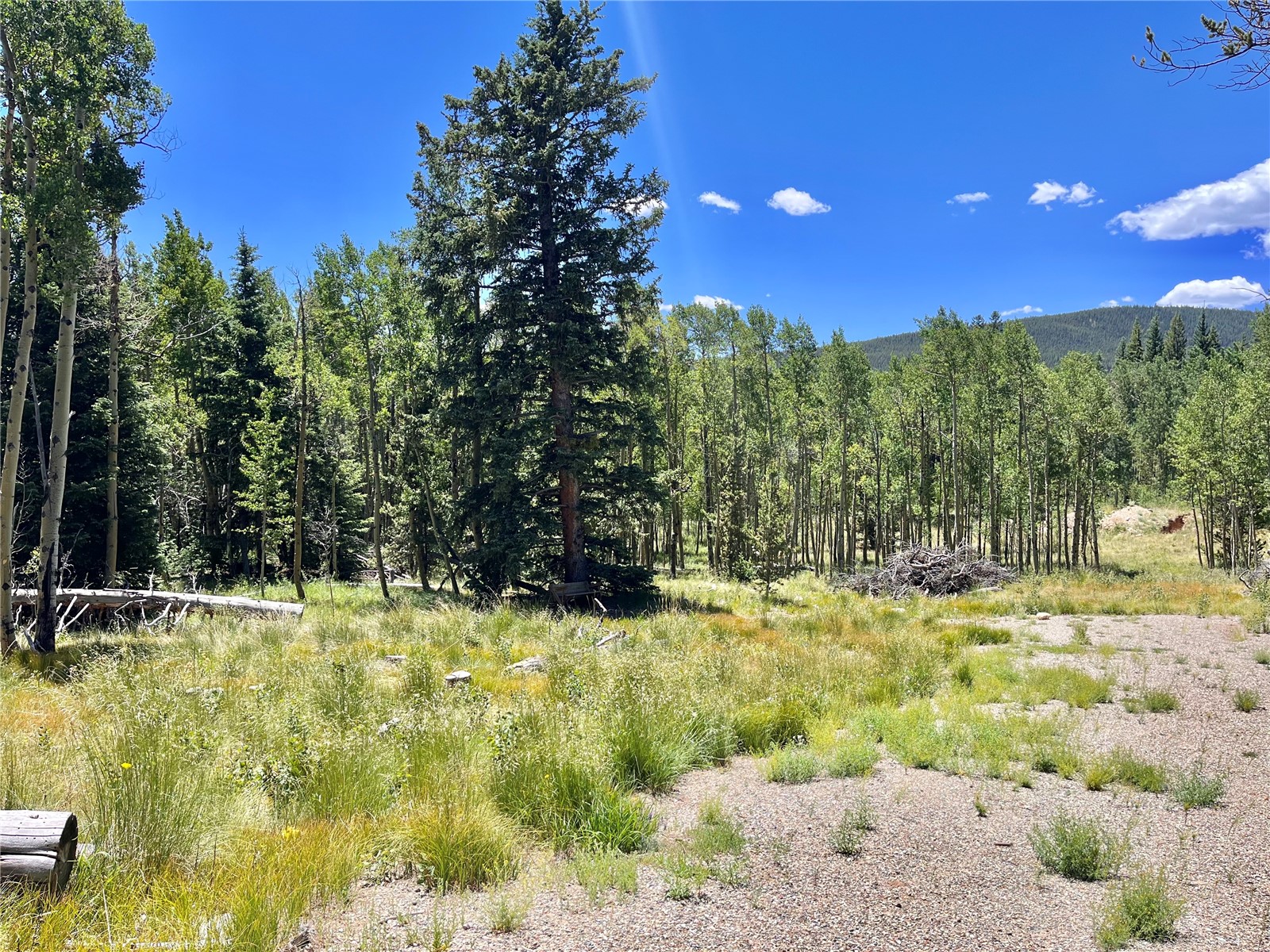 845 Adventure Road Alma, CO 80420 - Photo 5 of 31 Gallery Image 5