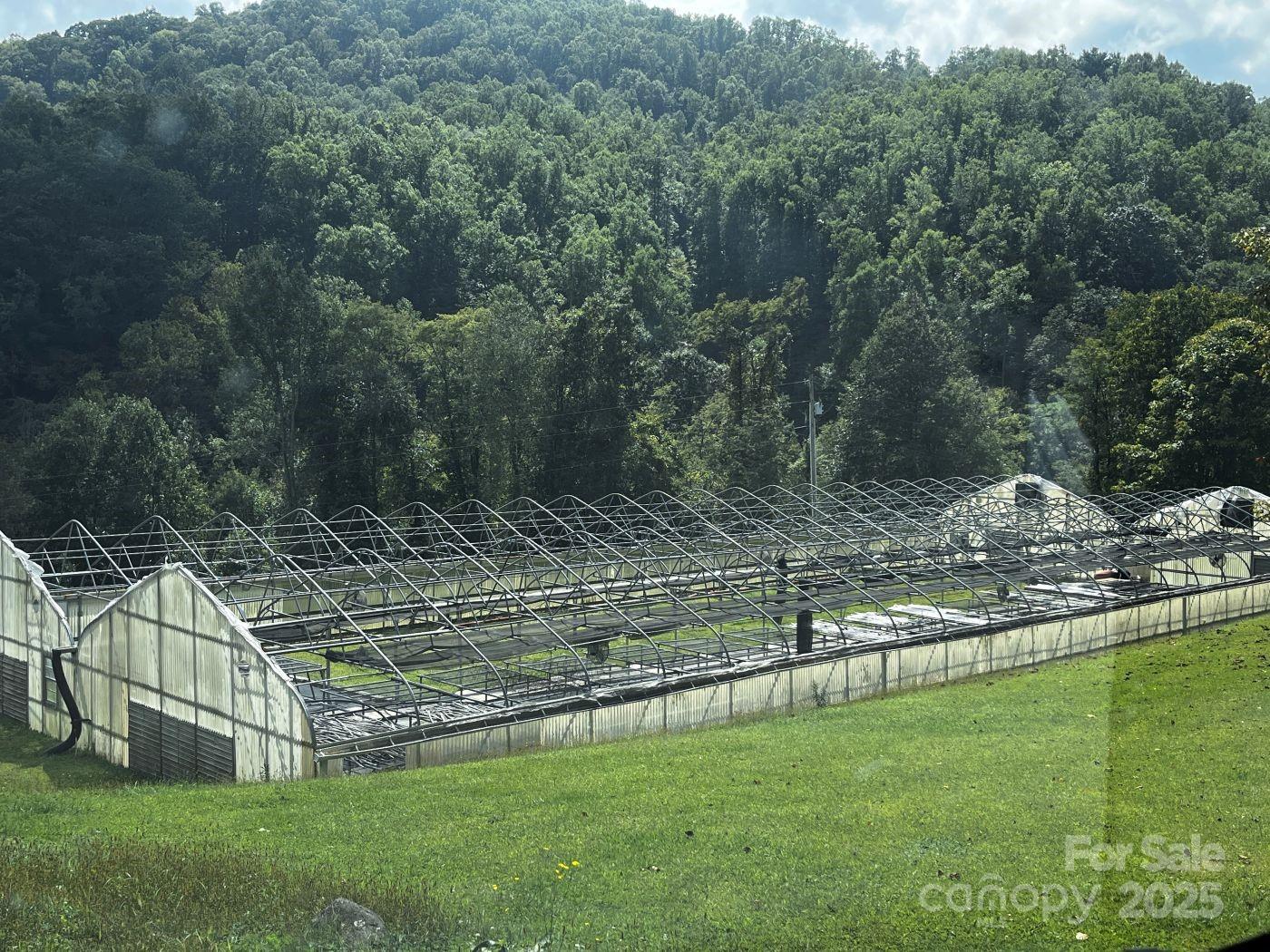 8020 Meadow Fork Road Hot Springs, NC 28743 - Photo 14 of 46