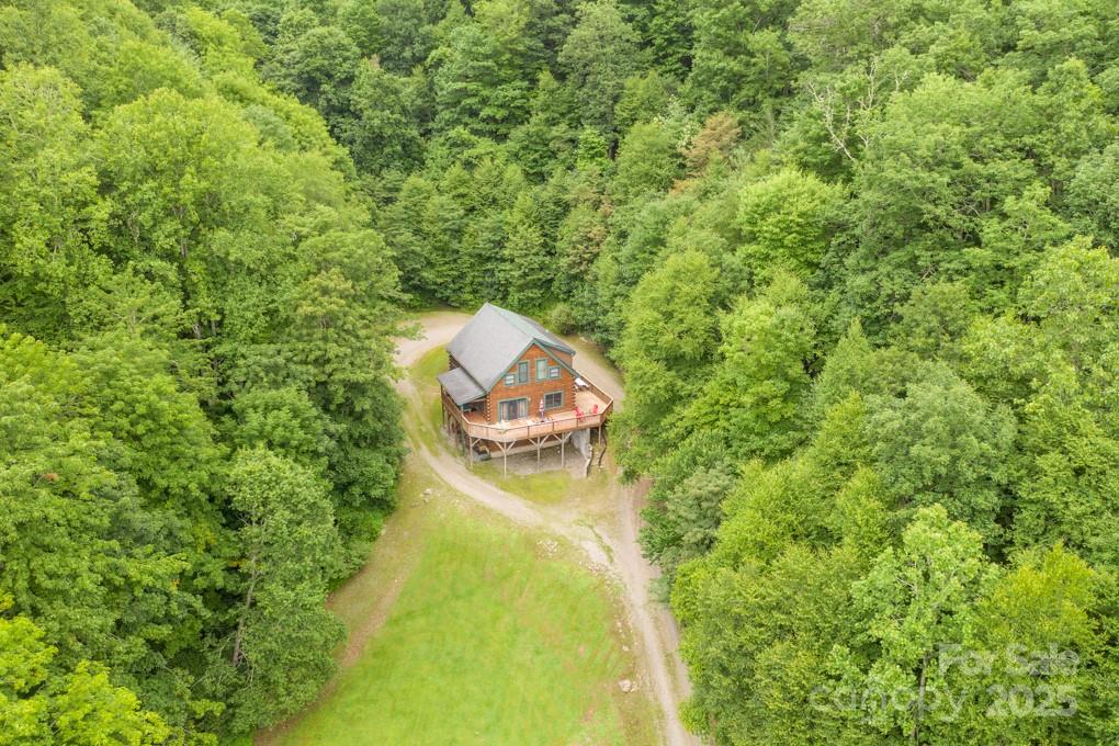 8020 Meadow Fork Road Hot Springs, NC 28743 - Photo 2 of 46