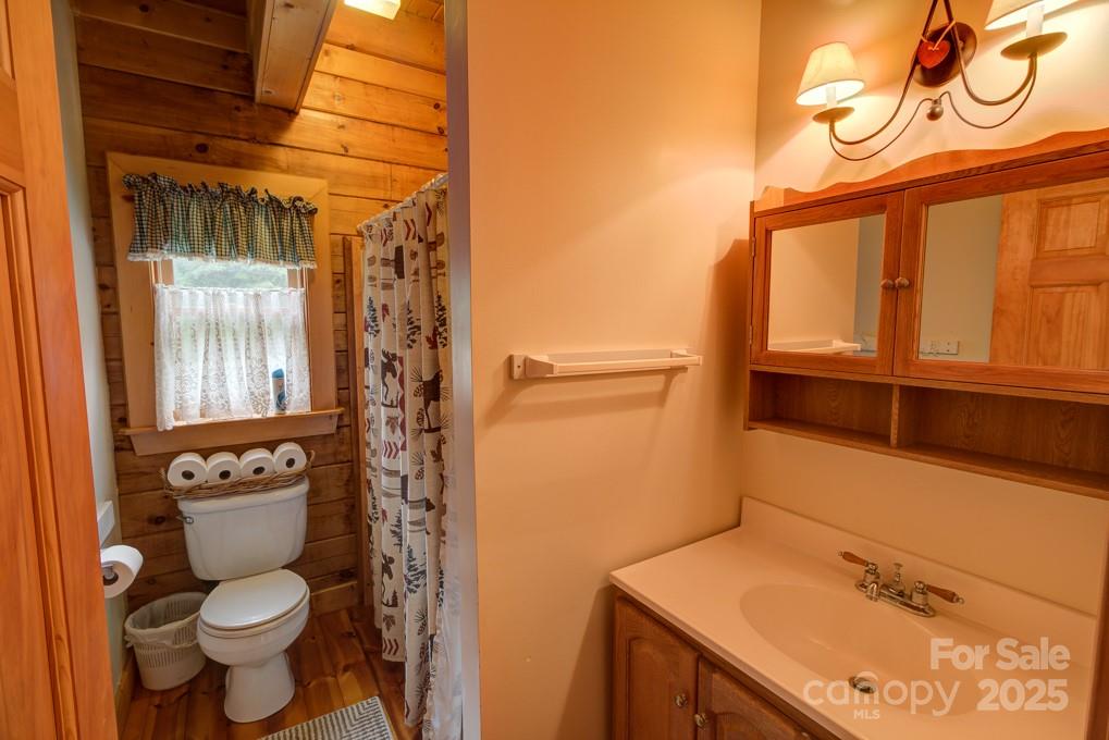 8020 Meadow Fork Road Hot Springs, NC 28743 - Photo 21 of 46