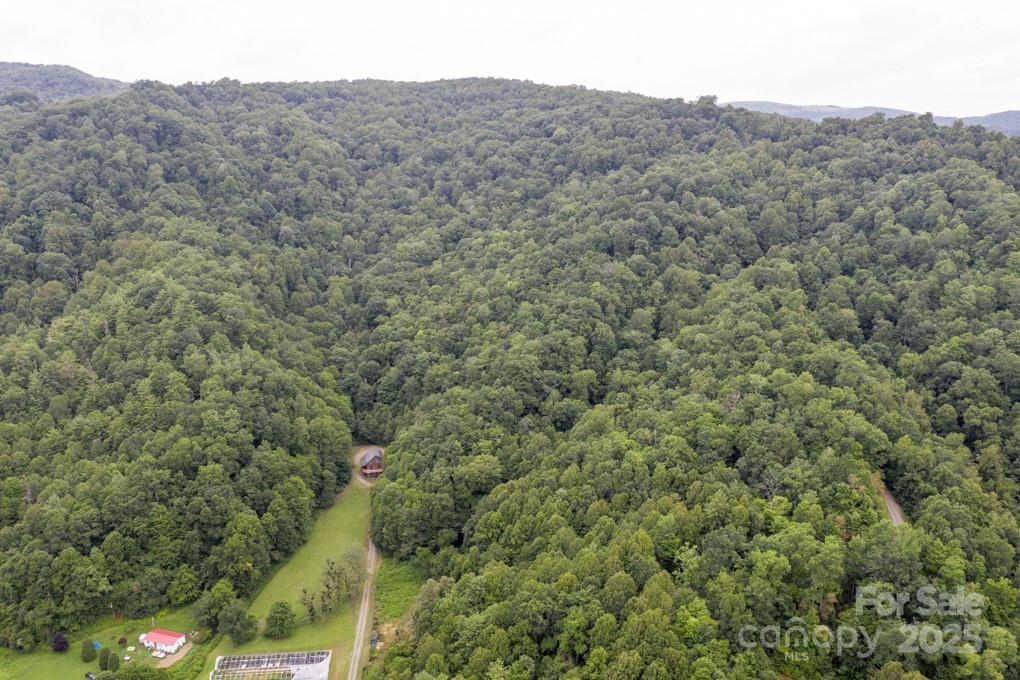8020 Meadow Fork Road Hot Springs, NC 28743 - Photo 5 of 46
