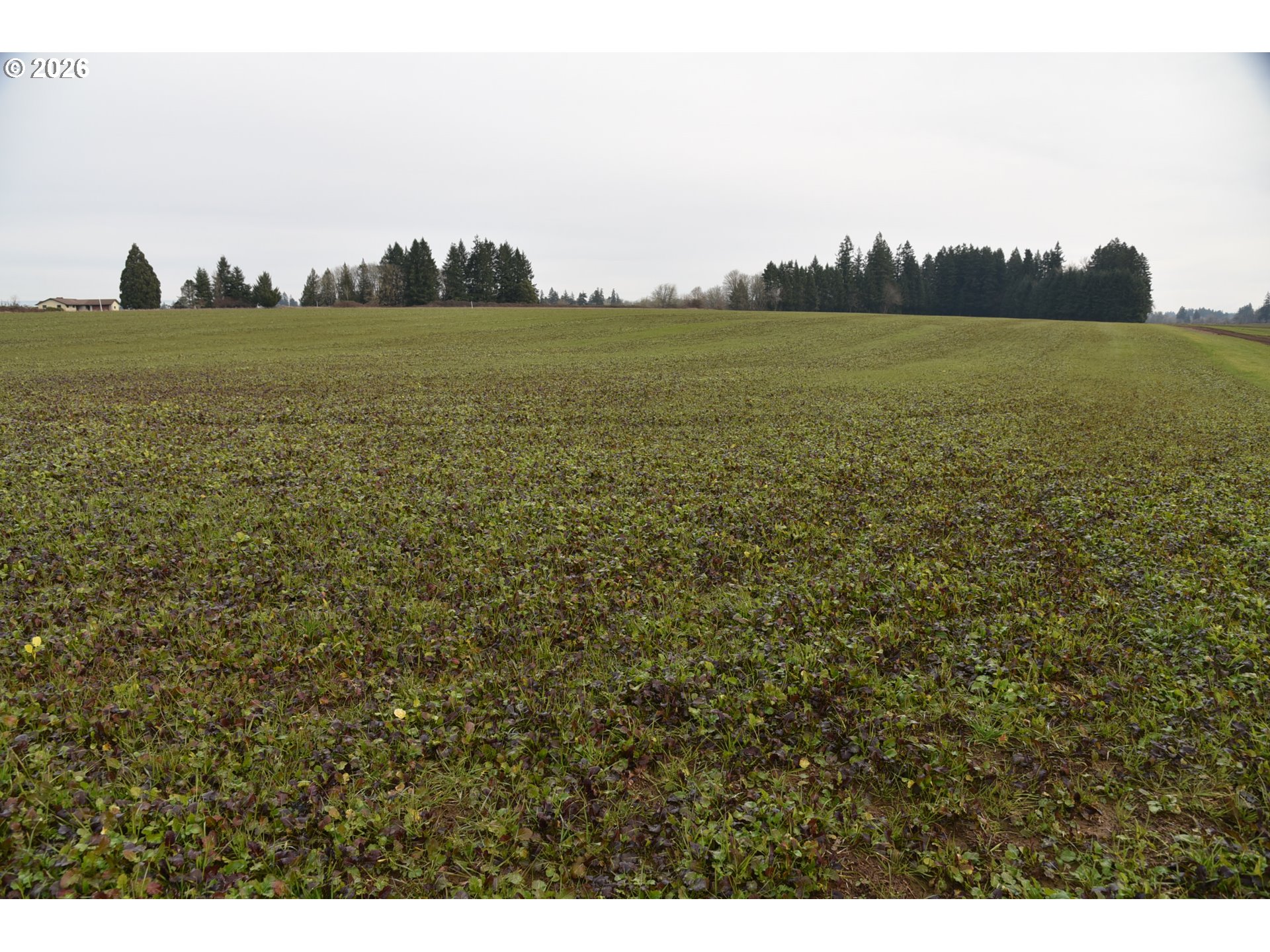3678 Southwest Golf Course Road Cornelius, OR 97113 - Photo 7 of 14 a view of an lake and a city