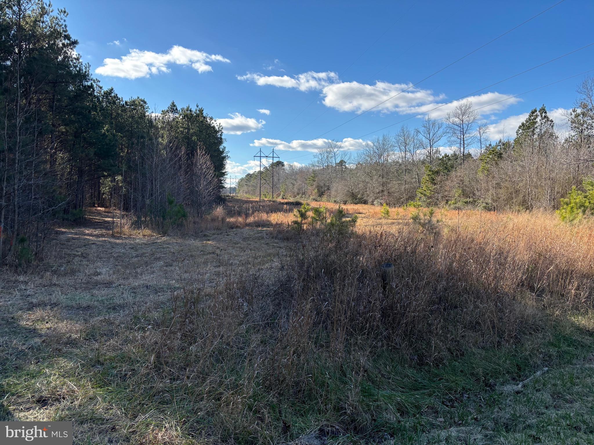 Lot 4 Molly Field Road Dagsboro, DE 19939 - Photo 6 of 6