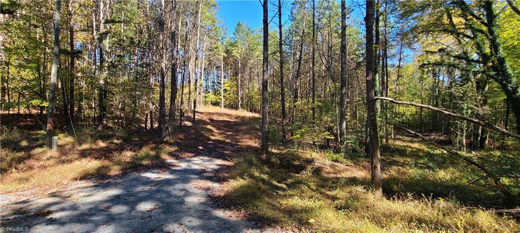 Tbd Roy Tuttle Road Pinnacle, NC 27043 - Photo 1 of 8 Driveway view of cleared area.