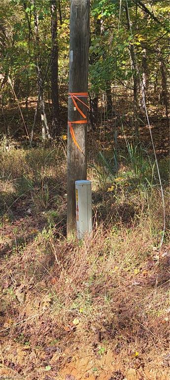 Tbd Roy Tuttle Road Pinnacle, NC 27043 - Photo 3 of 8 Power