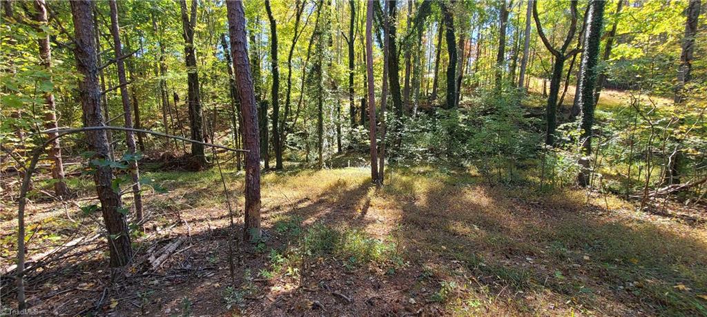 Tbd Roy Tuttle Road Pinnacle, NC 27043 - Photo 5 of 8 View from cleared area.