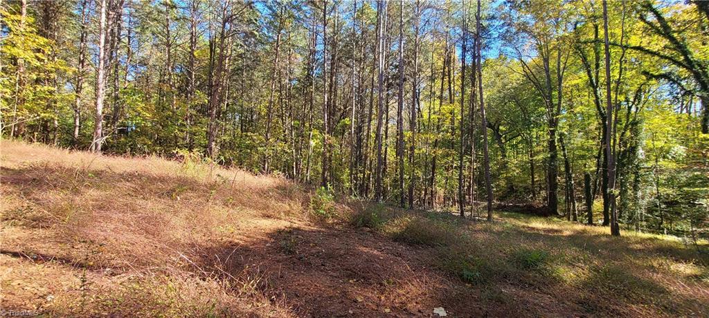 Tbd Roy Tuttle Road Pinnacle, NC 27043 - Photo 6 of 8 Cleared area.
