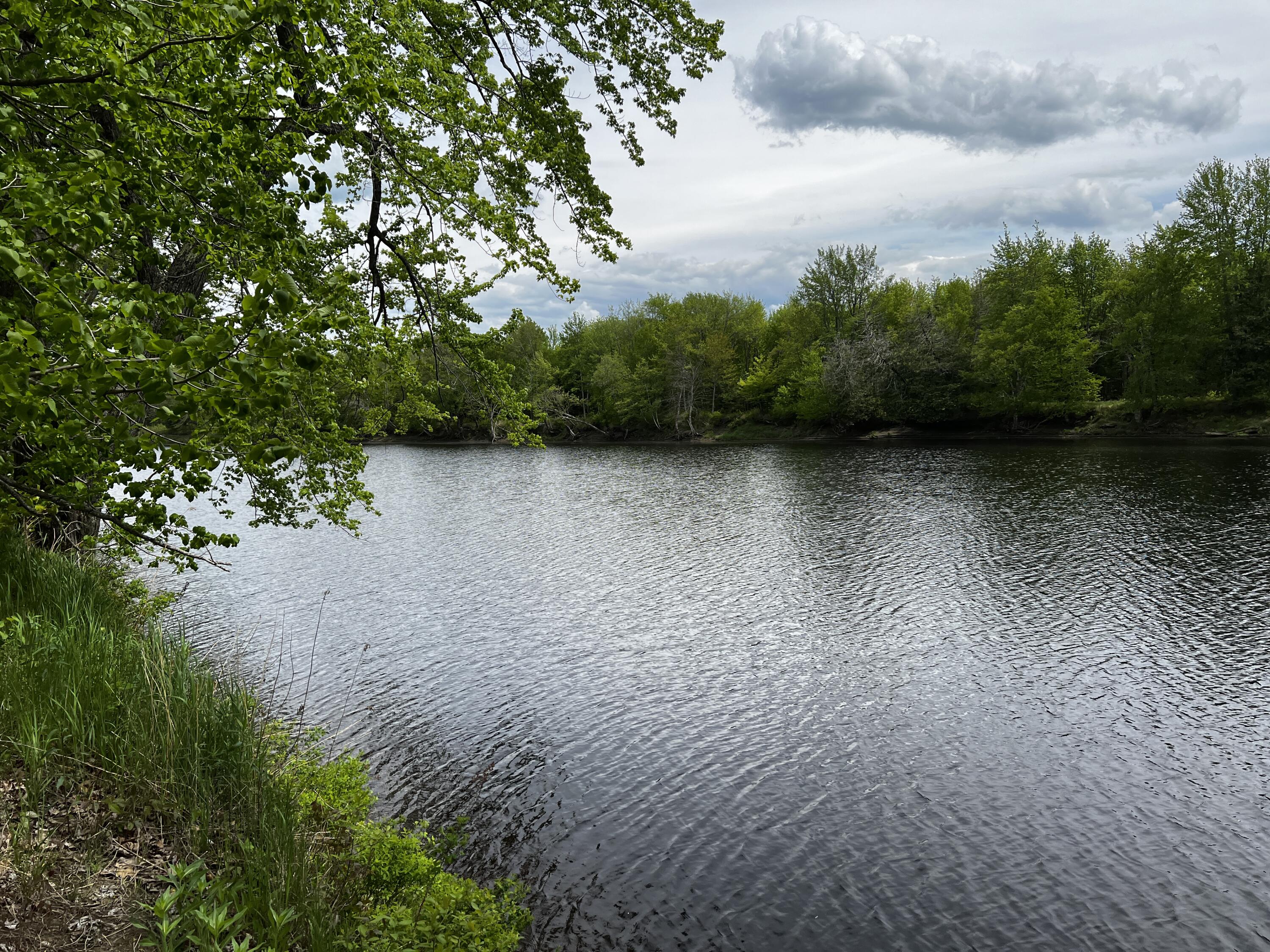 Lot 6 Emery Farm Road Medford, ME 04463 - Photo 5 of 27 IMG_4250