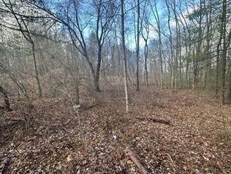 Lot 32 Sheep Pasture Road Southwick, MA 01077 - Photo 6 of 11 Gallery Image 6