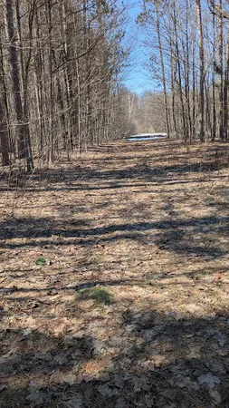 $204,900 | 14441 Woods Trail, Unit 65, Thompsonville, MI 49683