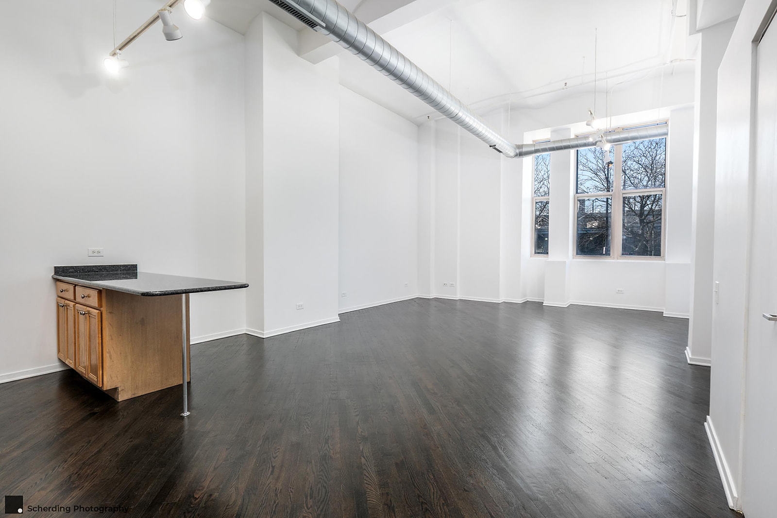 500 South Clinton Street, Unit 130 Chicago, IL 60607 - Photo 4 of 17 a view of a room with wooden floor and windows