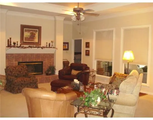 a living room with furniture a fireplace and a potted plant