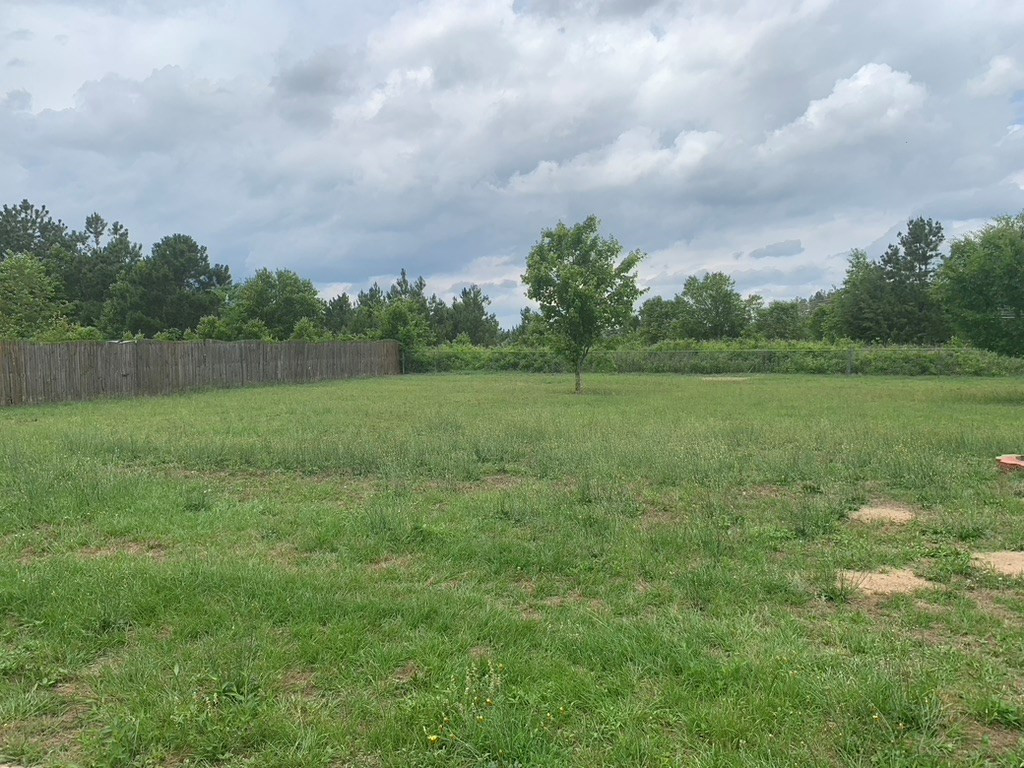 3591 Red Lane Road Dalzell, SC 29040 - Photo 26 of 28
