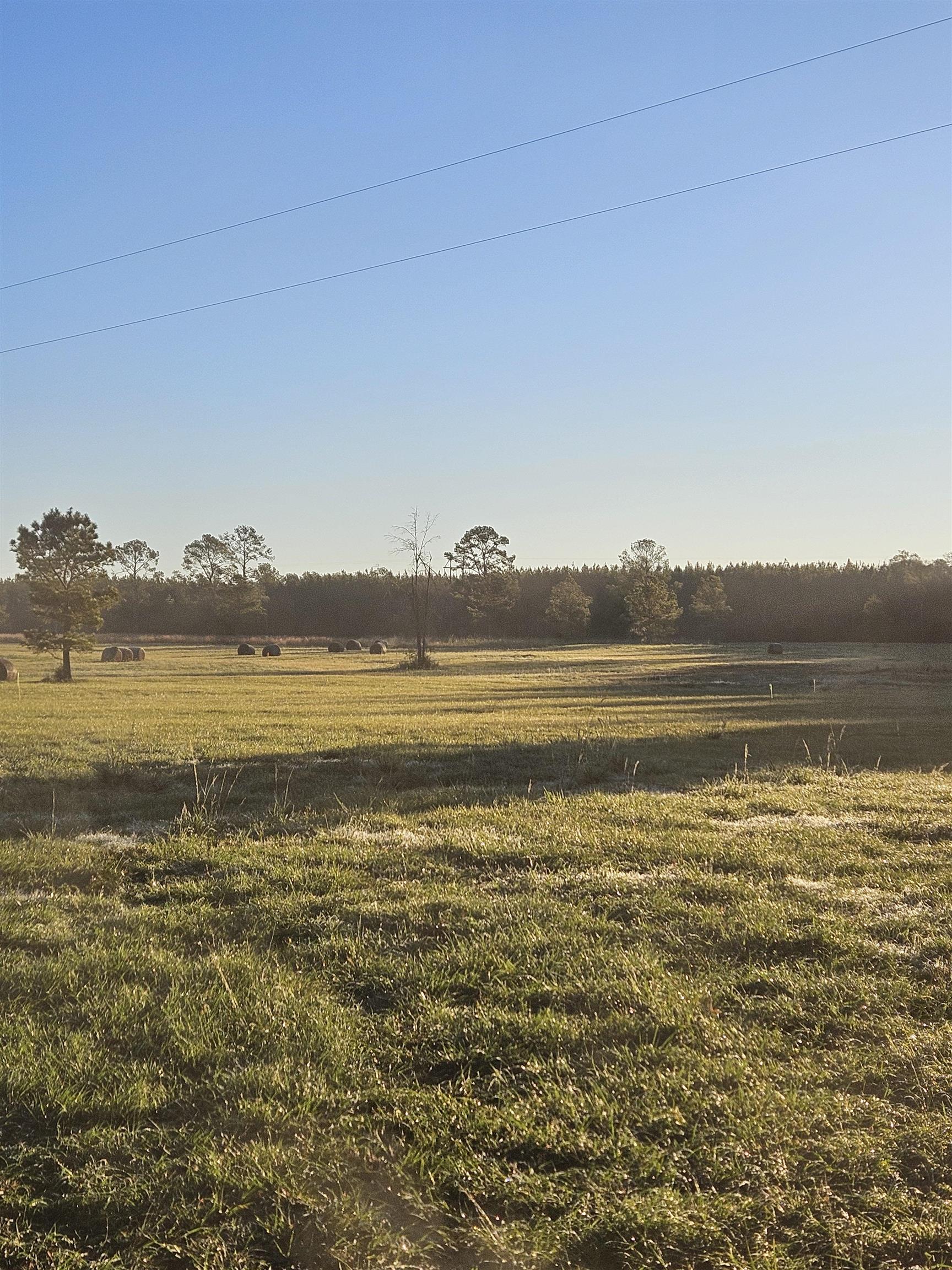 725 County Road Buna, TX 77612 - Photo 2 of 2