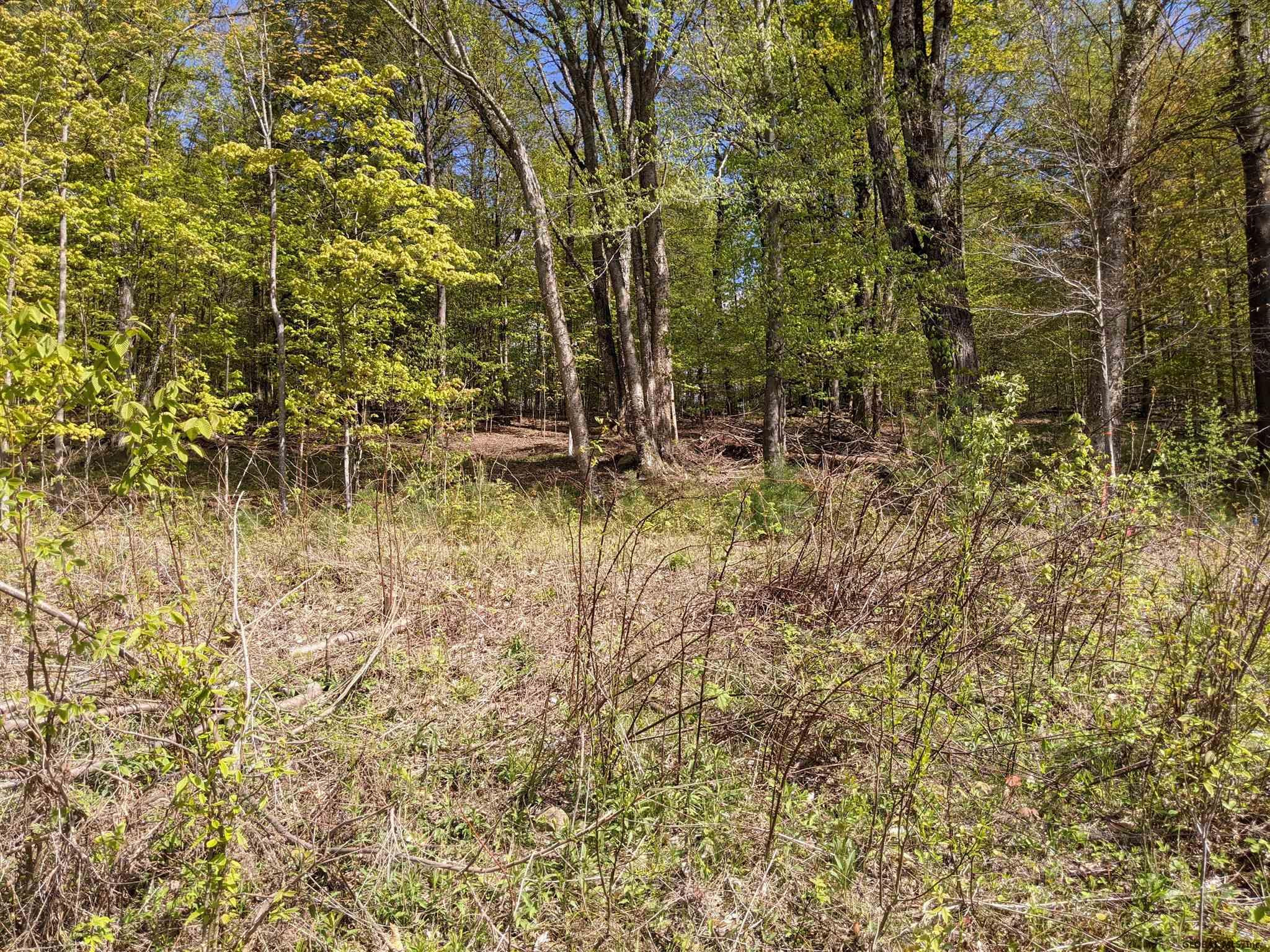 2.21 Rugg Road Gloversville, NY 12078 - Photo 12 of 16 Photo 7