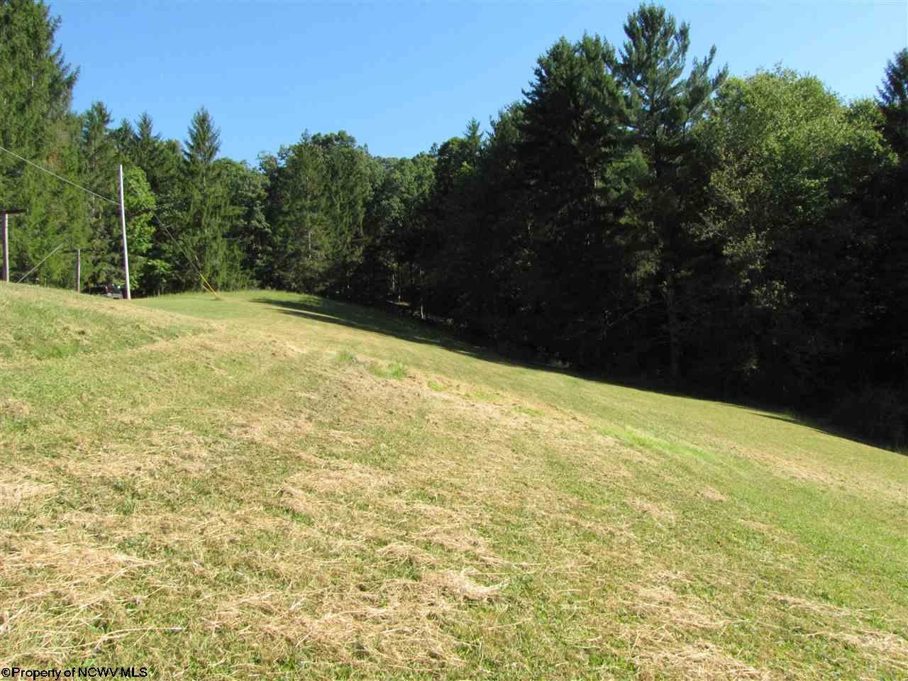 2 Rr Street Elkins, WV 26241 - Photo 4 of 20 Gallery Image 4