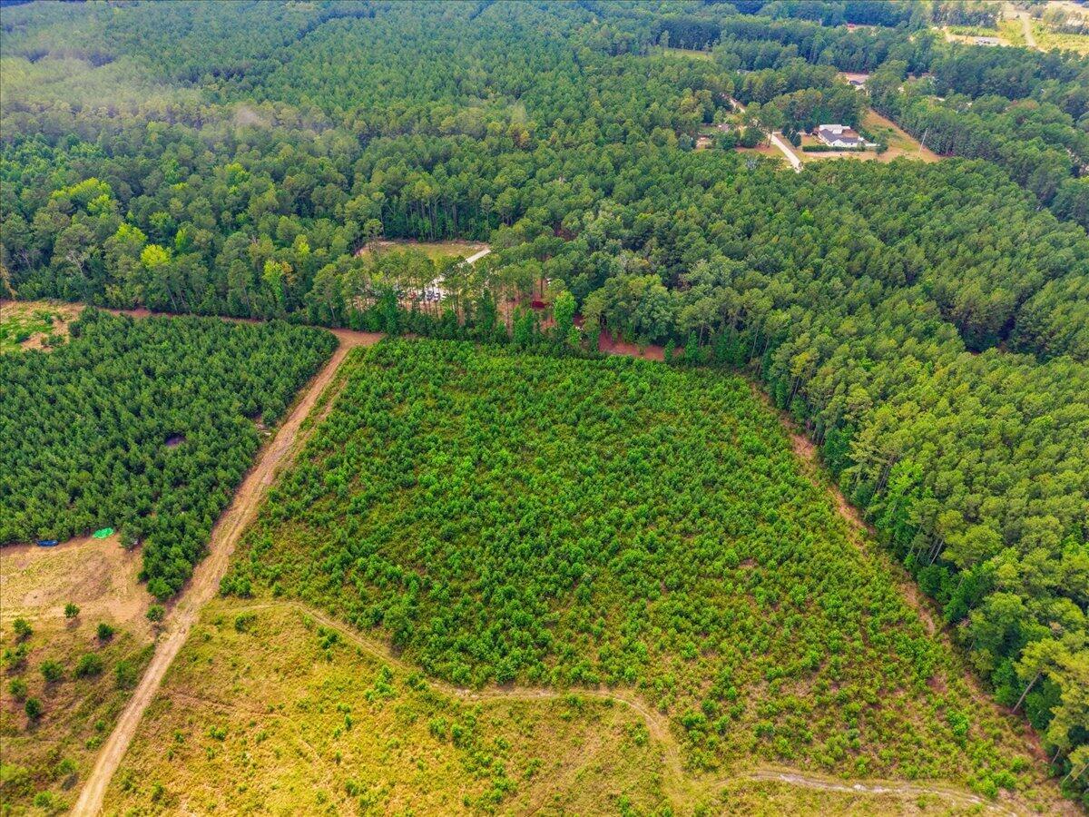 0 Adams Road Cottageville, SC 29435 - Photo 10 of 15 09-009