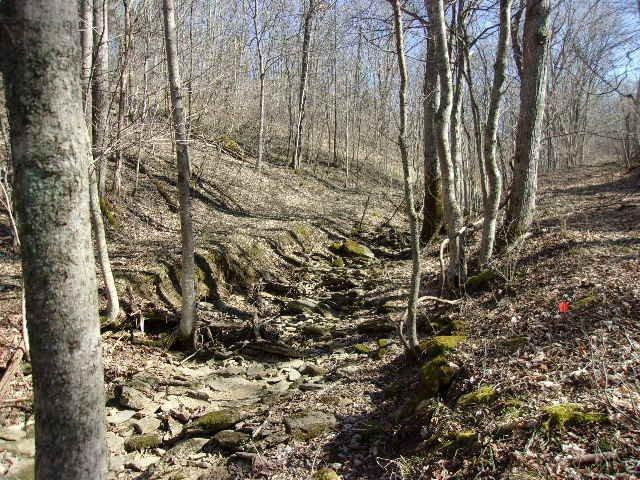 0 Wellsburg Walcott Road Foster, KY 41043 - Photo 2 of 14 Gallery Image 2