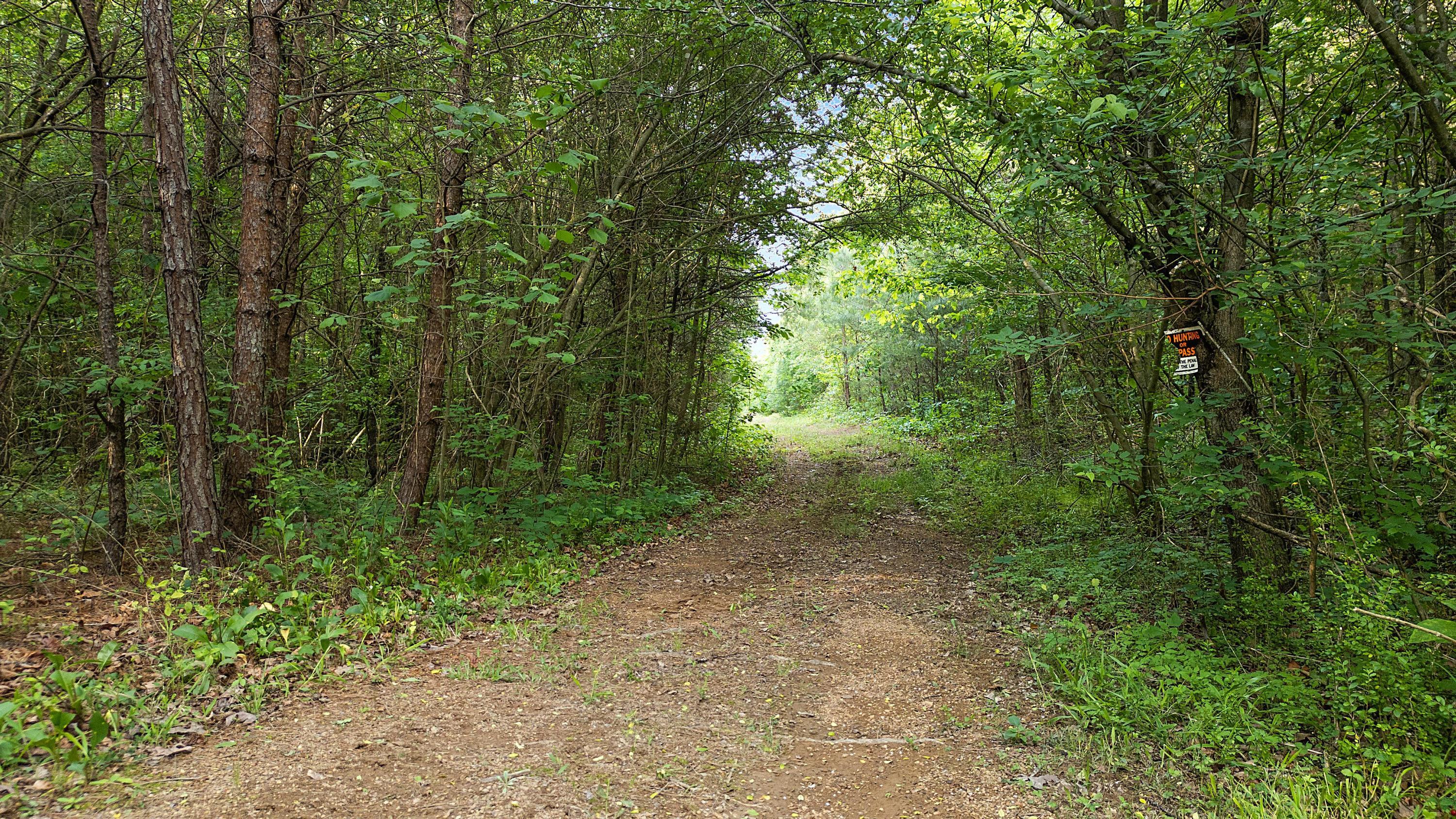 1839 County Road 750 Riceville, TN 37370 - Photo 25 of 28 25