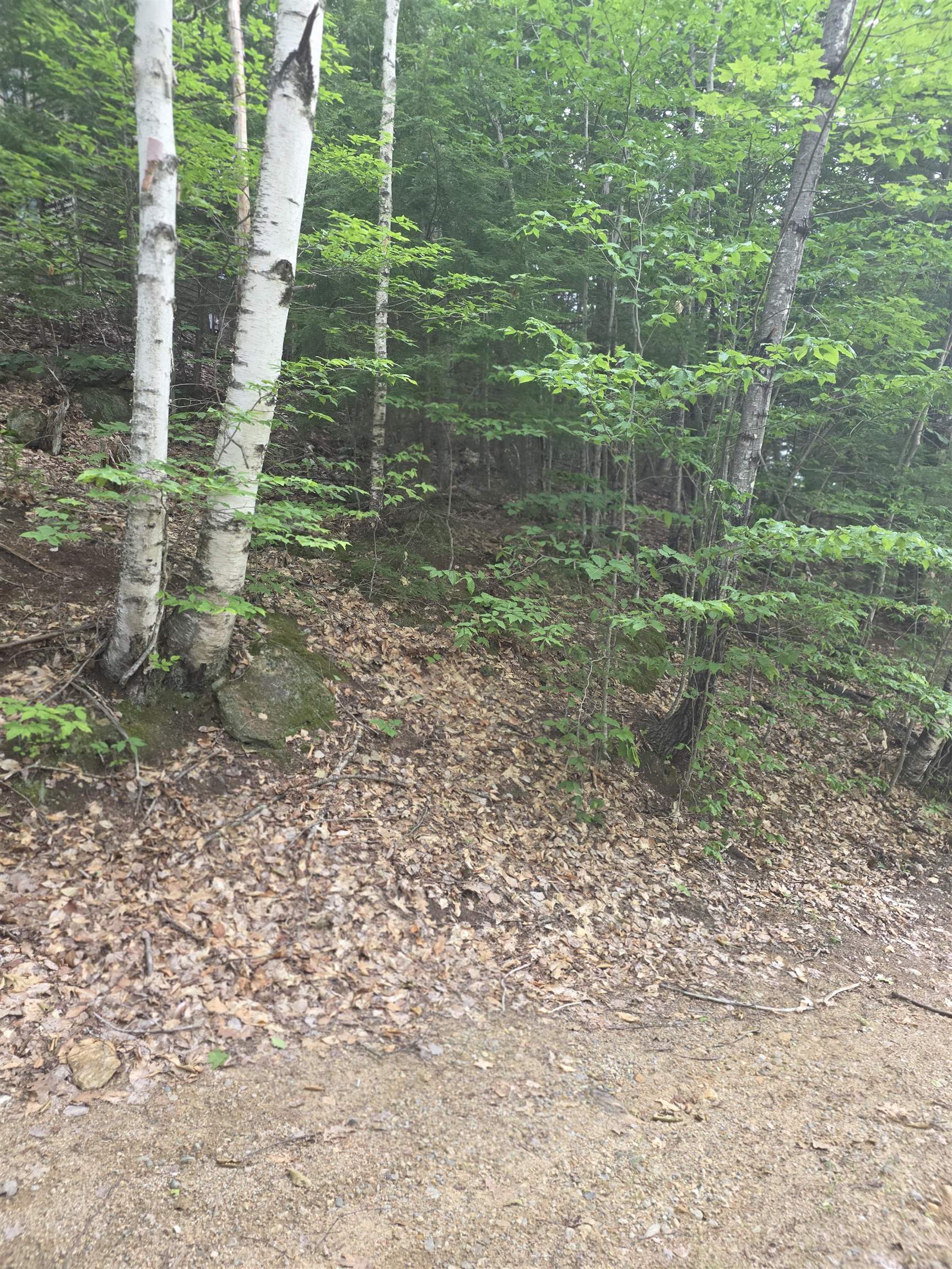 113 Bell Valley Road Campton, NH 03223 - Photo 5 of 31