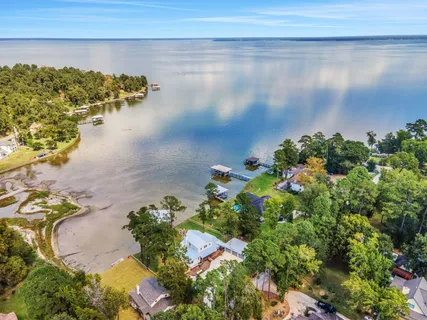 a view of a flower in a field