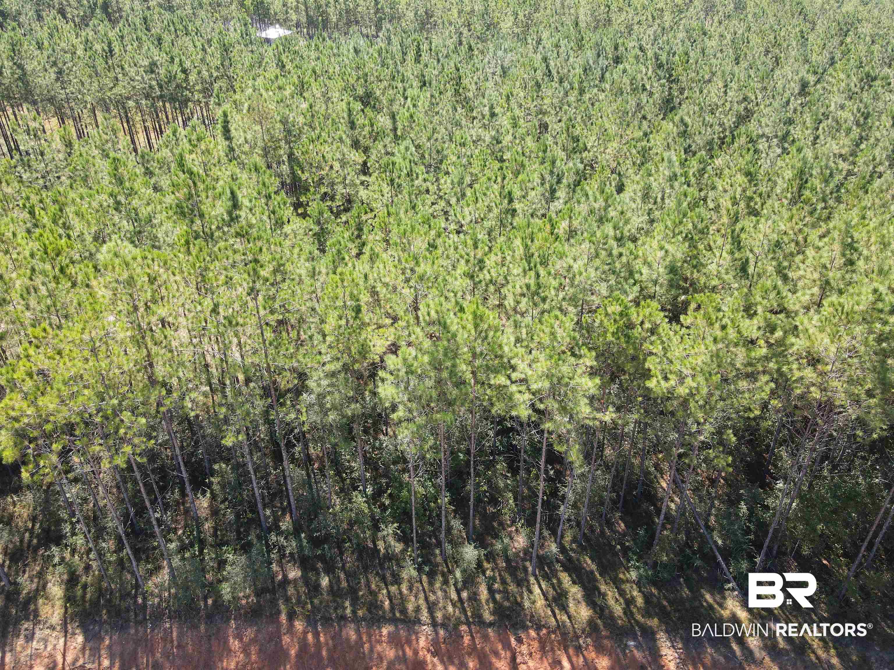 30687 Brady Road Robertsdale, AL 36567 - Photo 49 of 53 Aerial view showing to the south of the property and in the direction of Stix River. It is heavily wooded.