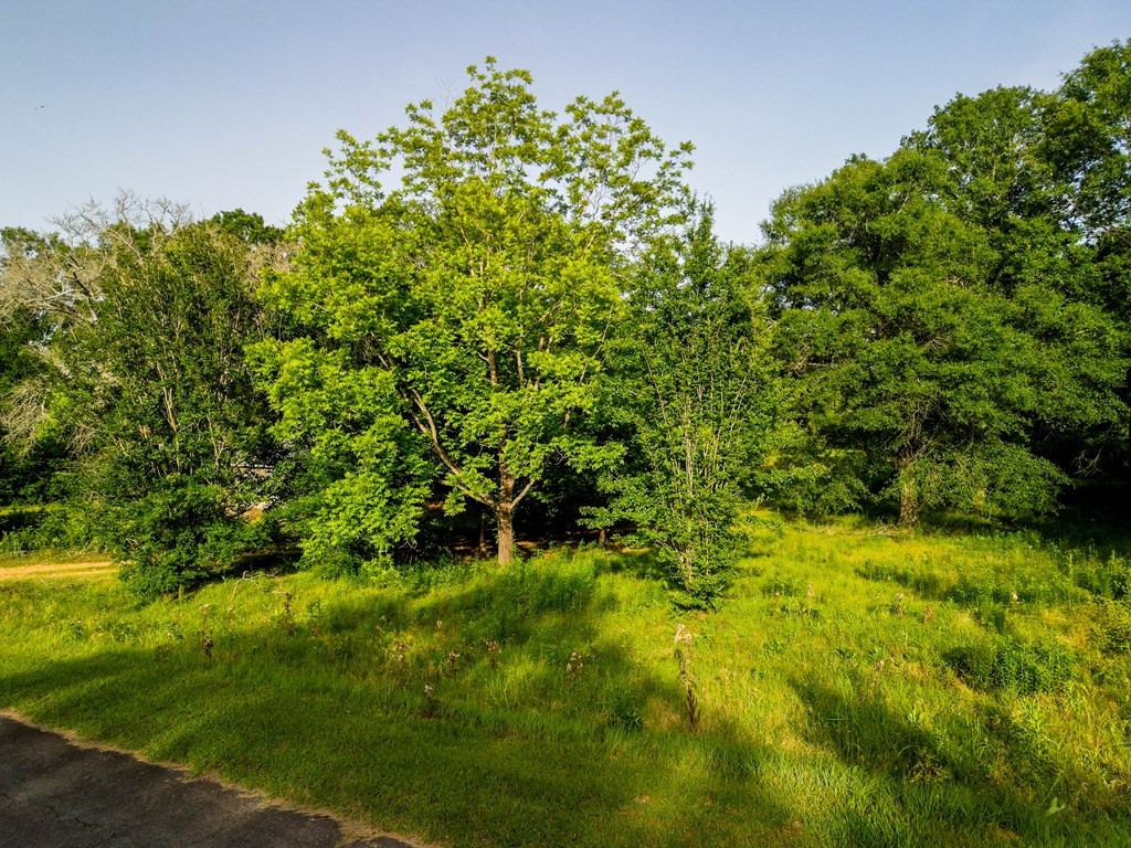 1022 Friendship Circle McComb, MS 39648 - Photo 16 of 20 Photo 18