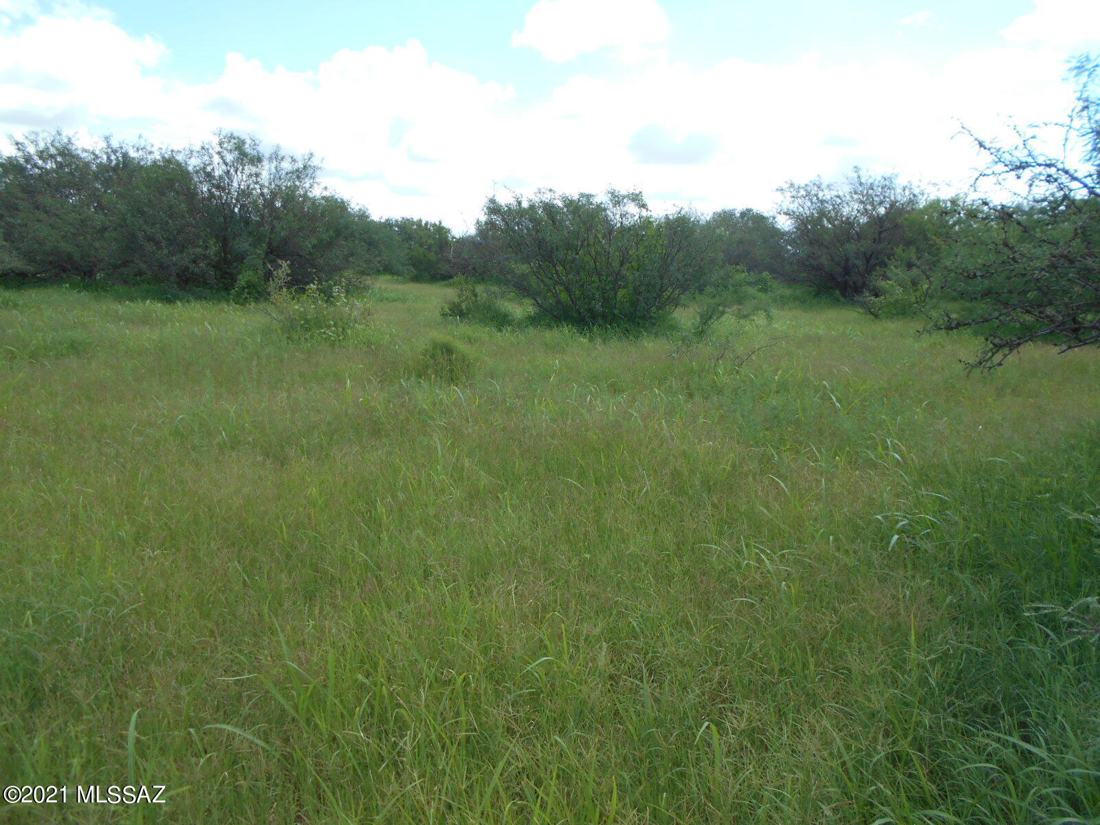 7298 North Frontier Road McNeal, AZ 85617 - Photo 20 of 40 Gallery Image 20
