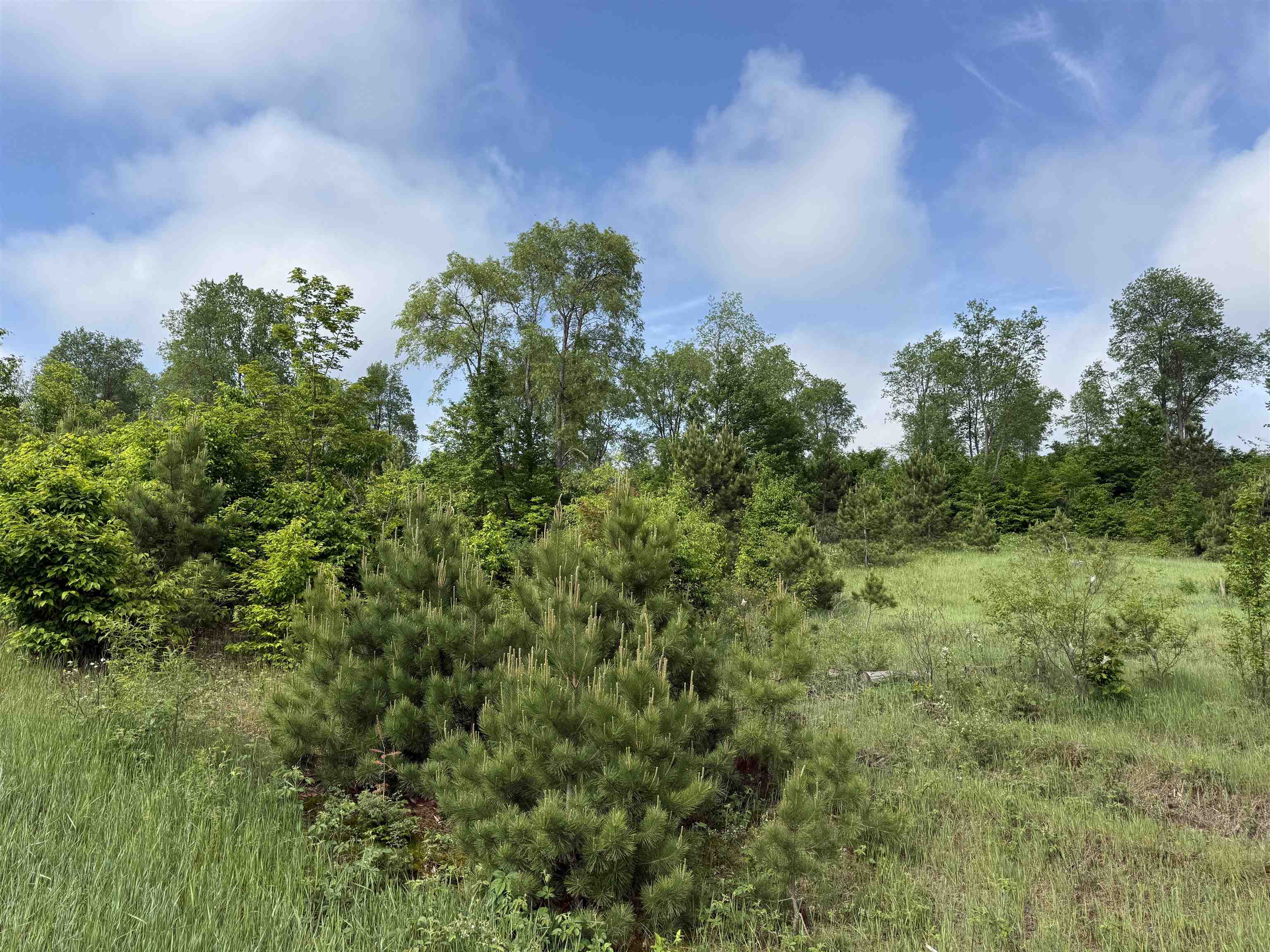 A4 East Kasson Road Traverse City, MI 49684 - Photo 8 of 12