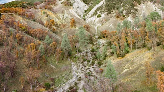 a view of a backyard of the house
