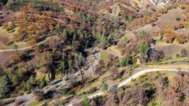 a view of a tree in a yard