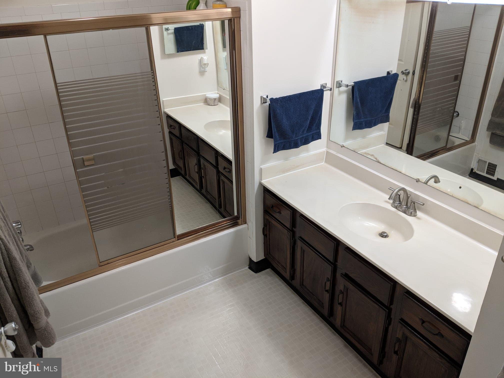 13389 Point Rider Lane Herndon, VA 20171 - Photo 15 of 25 Bath (Master)