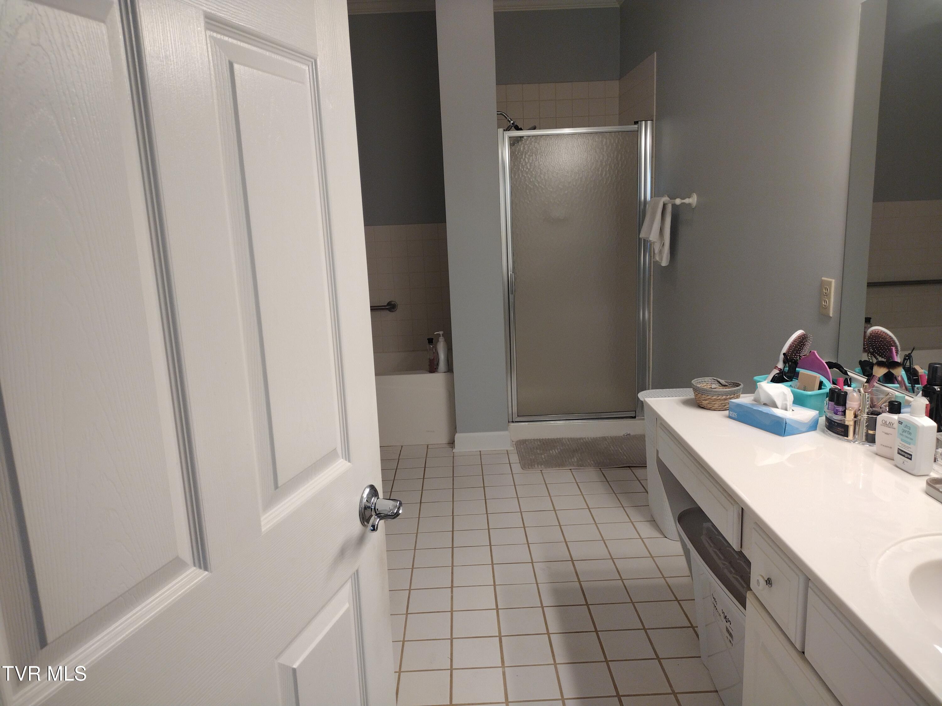 254 Regency Park, Unit 254 Greeneville, TN 37745 - Photo 23 of 36 Primary bathroom