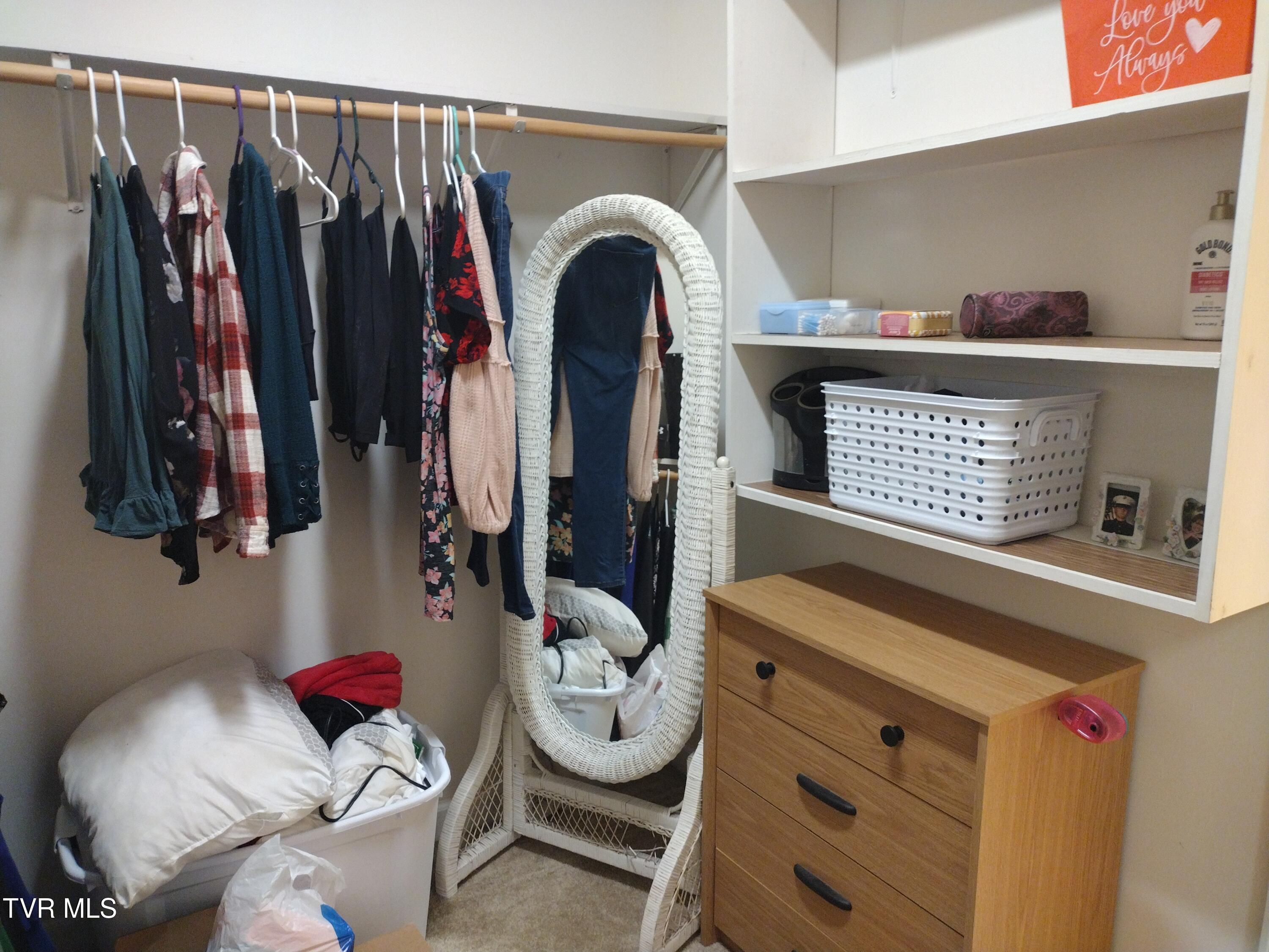 254 Regency Park, Unit 254 Greeneville, TN 37745 - Photo 26 of 36 Primary bathroom walk in closet