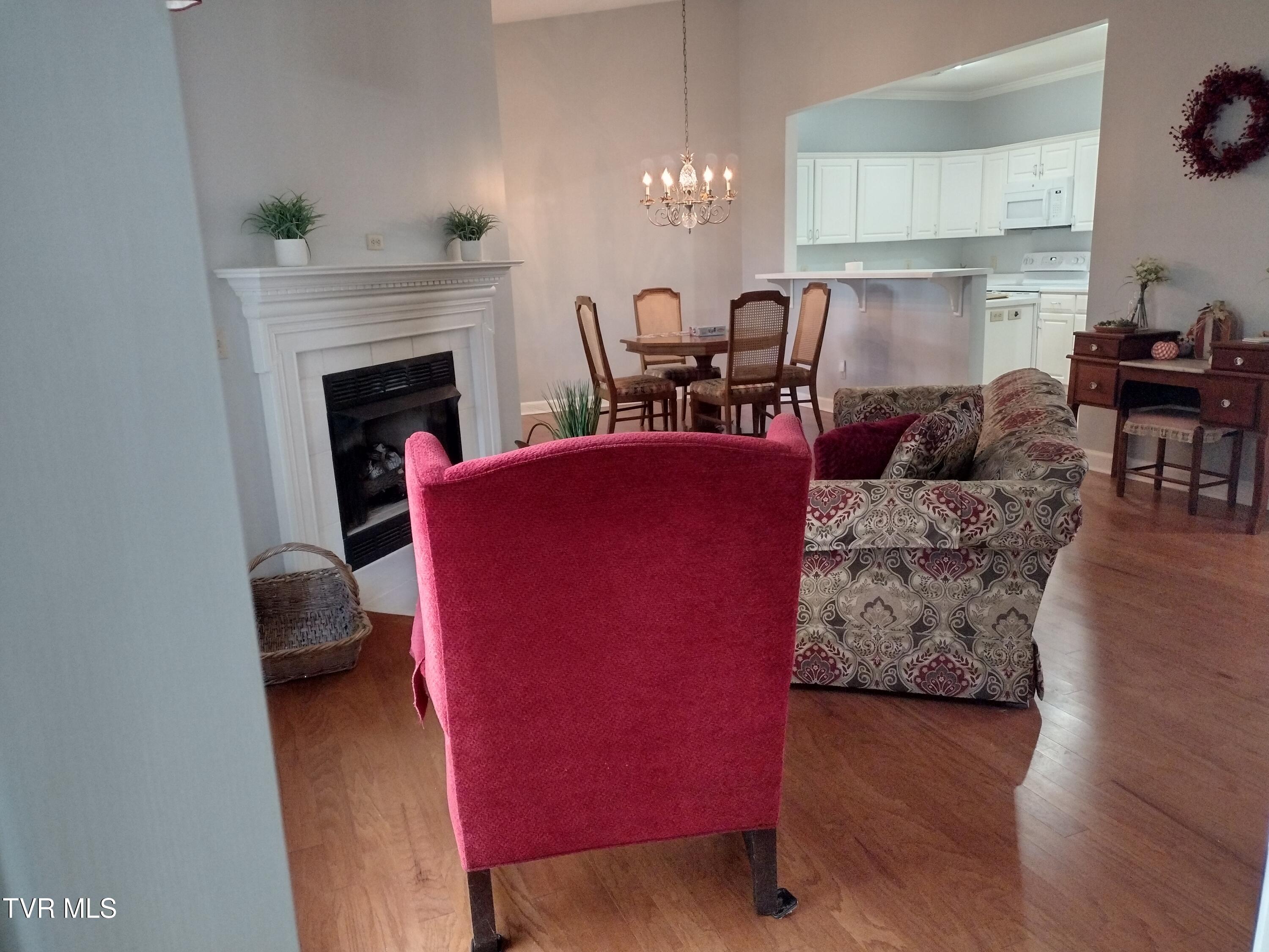 254 Regency Park, Unit 254 Greeneville, TN 37745 - Photo 5 of 36 Living Room