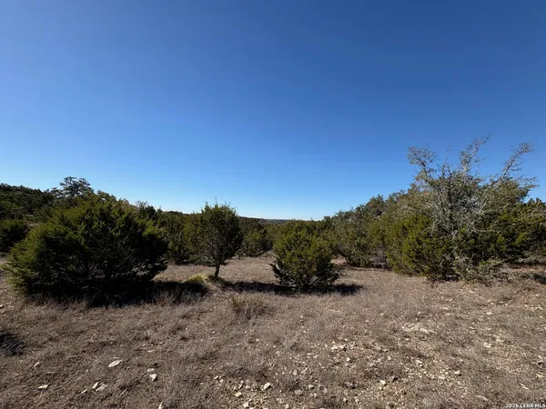 a view of a dry yard with trees