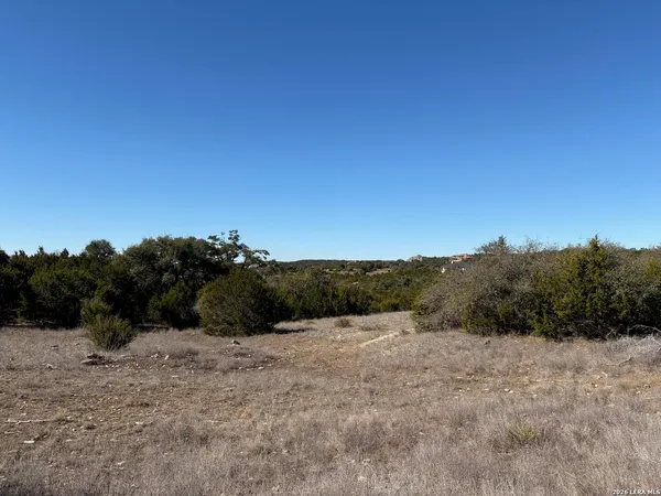 a view of a dry yard with trees in the background