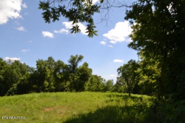 2390 Pea Ridge Fire Tower Road Celina, TN 38551 - Photo 1 of 58 USE AS MAIN