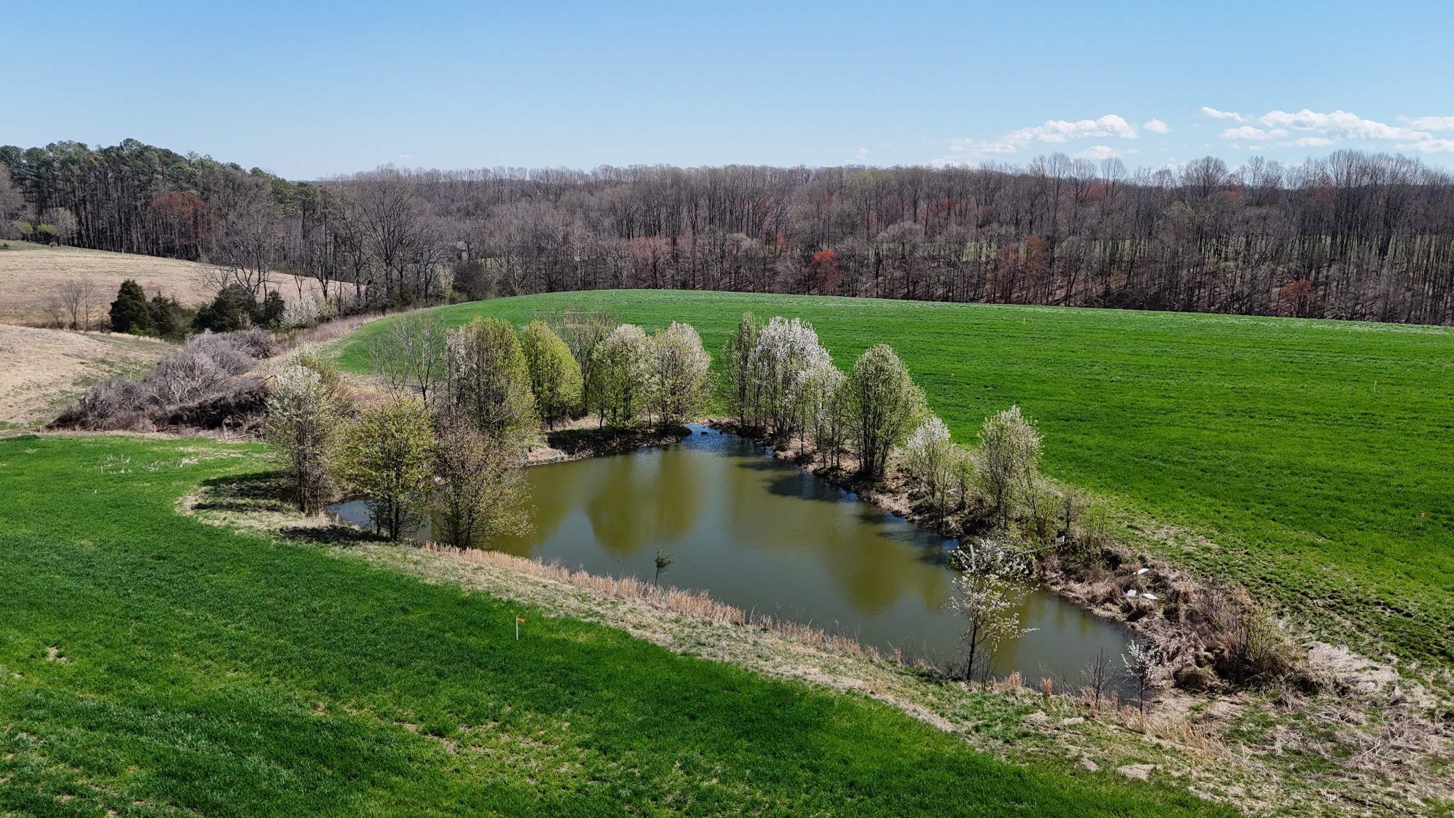 4 Gamaliel Road Red Boiling Springs, TN 37150 - Photo 2 of 16
