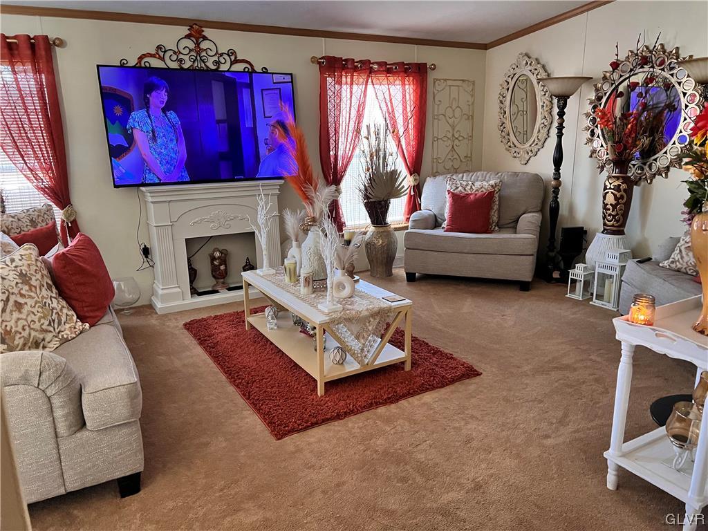 4205 Leopard Circle Orefield, PA 18069 - Photo 4 of 20 a living room with furniture and a fireplace