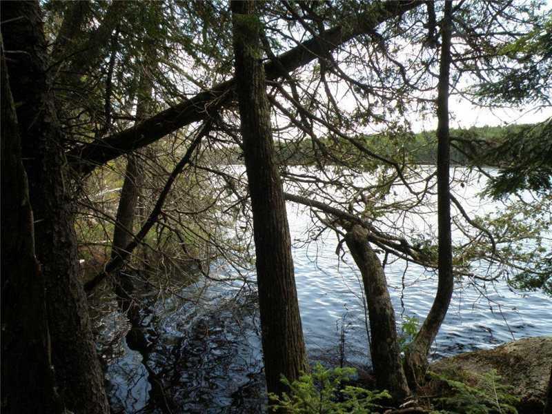 0 Upper Pug Road Lakeville, ME 04487 - Photo 3 of 10 Photo